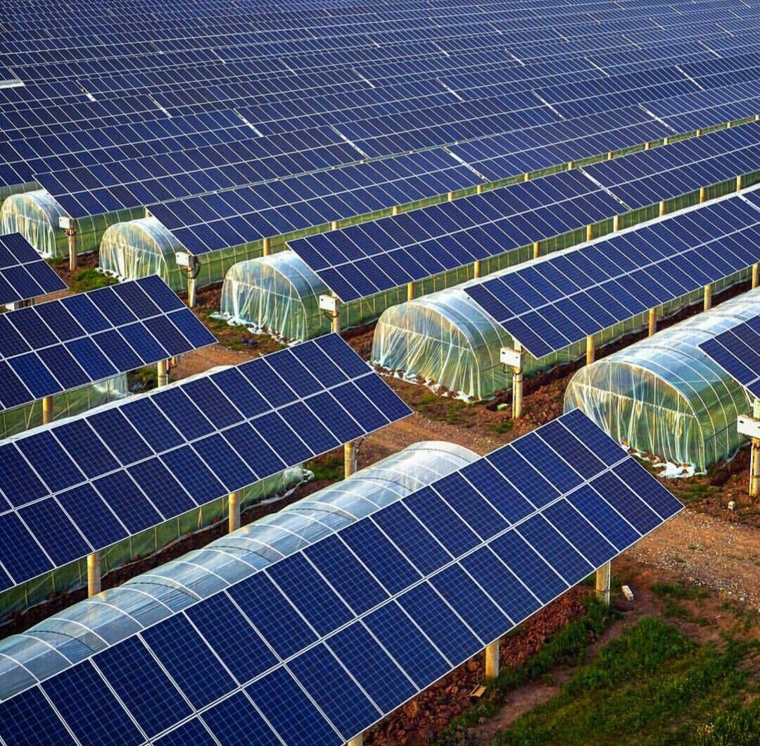 Agrovoltaics — Power Meets Farming
